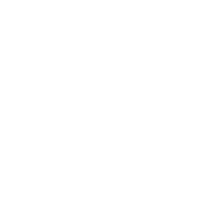 burroblanco