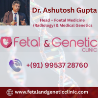 Dr Ashutosh Gupta