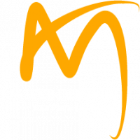 AM Web Insights