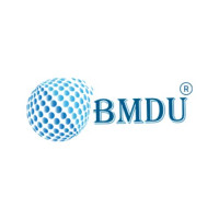 BM Digital Utilization