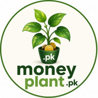 money plant
