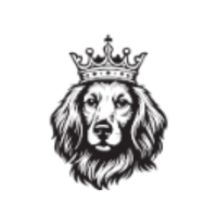 Tudor Energy LLC