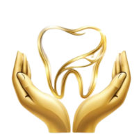 Prime Dental Care &ndash; Dentist in Prayagraj