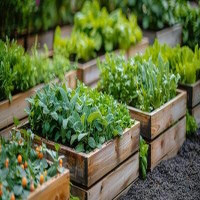 Vego Garden