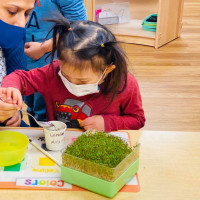 Stellar Montessori Academy&nbsp;