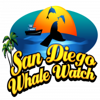 sd whale watch