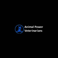 Animal Power Veterinarians