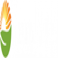 Advanced Amorphous