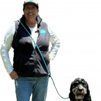 Aly's Puppy Boot Camp