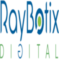 Raybotix Digital