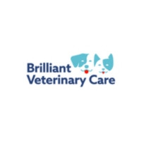 brilliantveterinarycare
