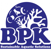Aquarium Design