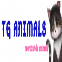 Tg Animals